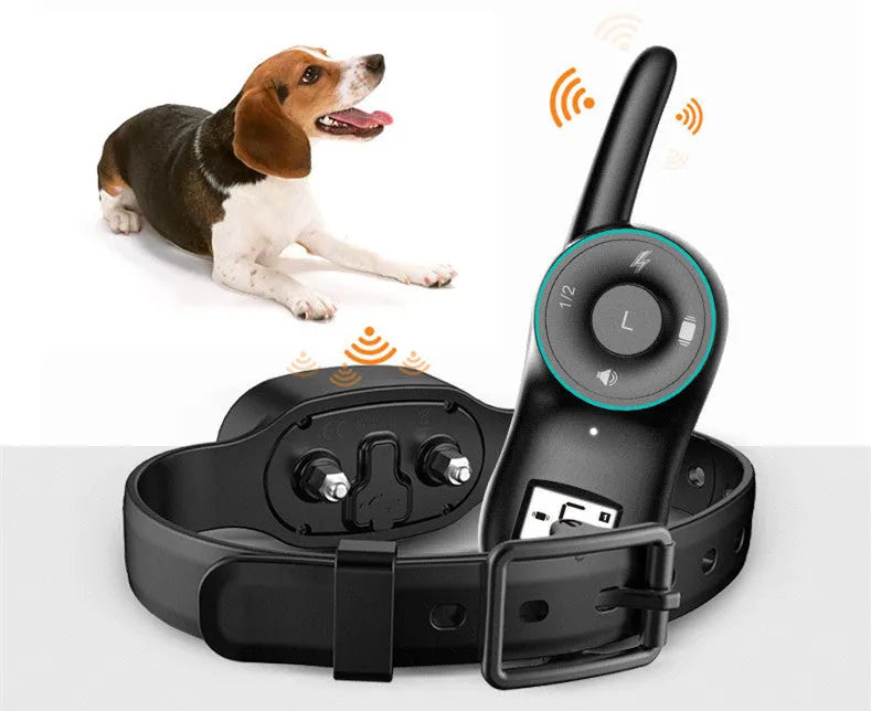 Black rechargeable remote dog training collar with waterproof receiver and handheld transmitter.