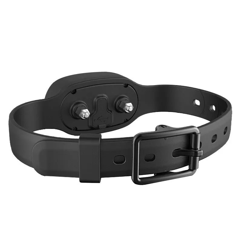 Black rechargeable remote dog training collar with waterproof receiver and handheld transmitter.