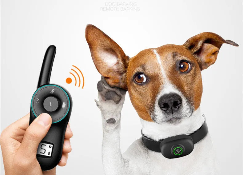 Black rechargeable remote dog training collar with waterproof receiver and handheld transmitter.