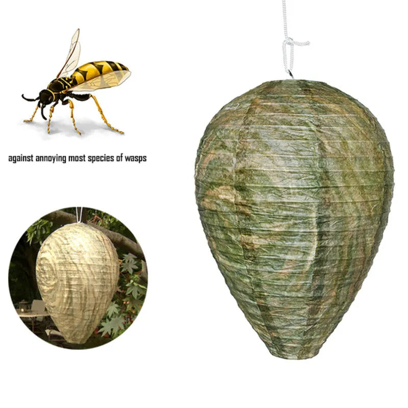 White paper honeycomb lantern with photographic colour print, shown expanded to 22cm by 28cm.