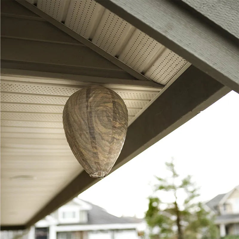 White paper honeycomb lantern with photographic colour print, shown expanded to 22cm by 28cm.