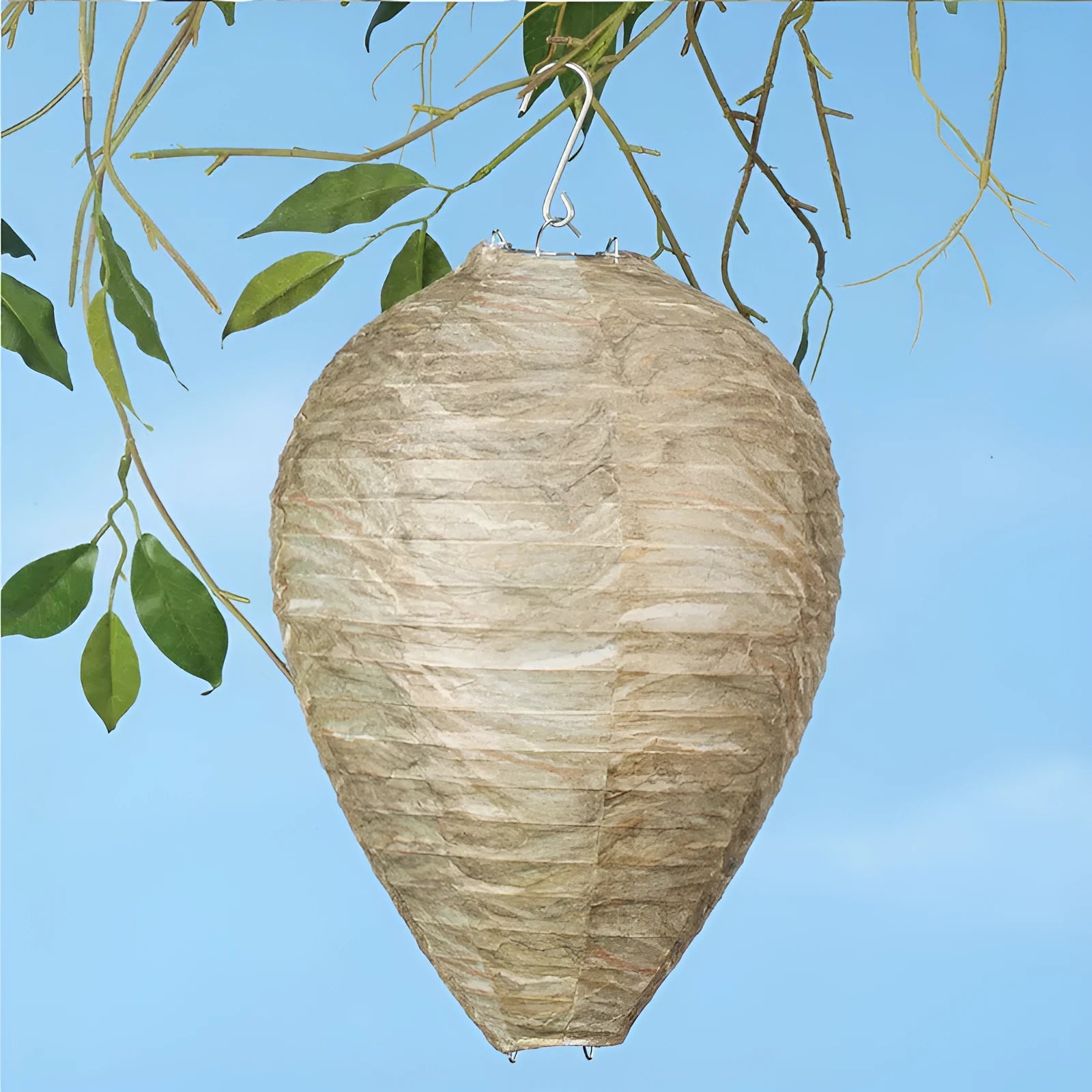 White paper honeycomb lantern with photographic colour print, shown expanded to 22cm by 28cm.