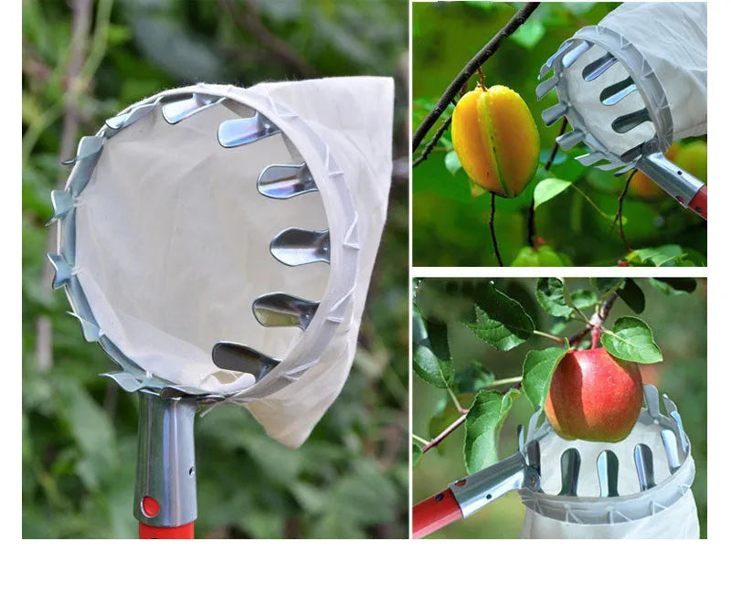 Steel-framed fruit picker garden tool with a blue cloth catcher bag for harvesting citrus and peaches.