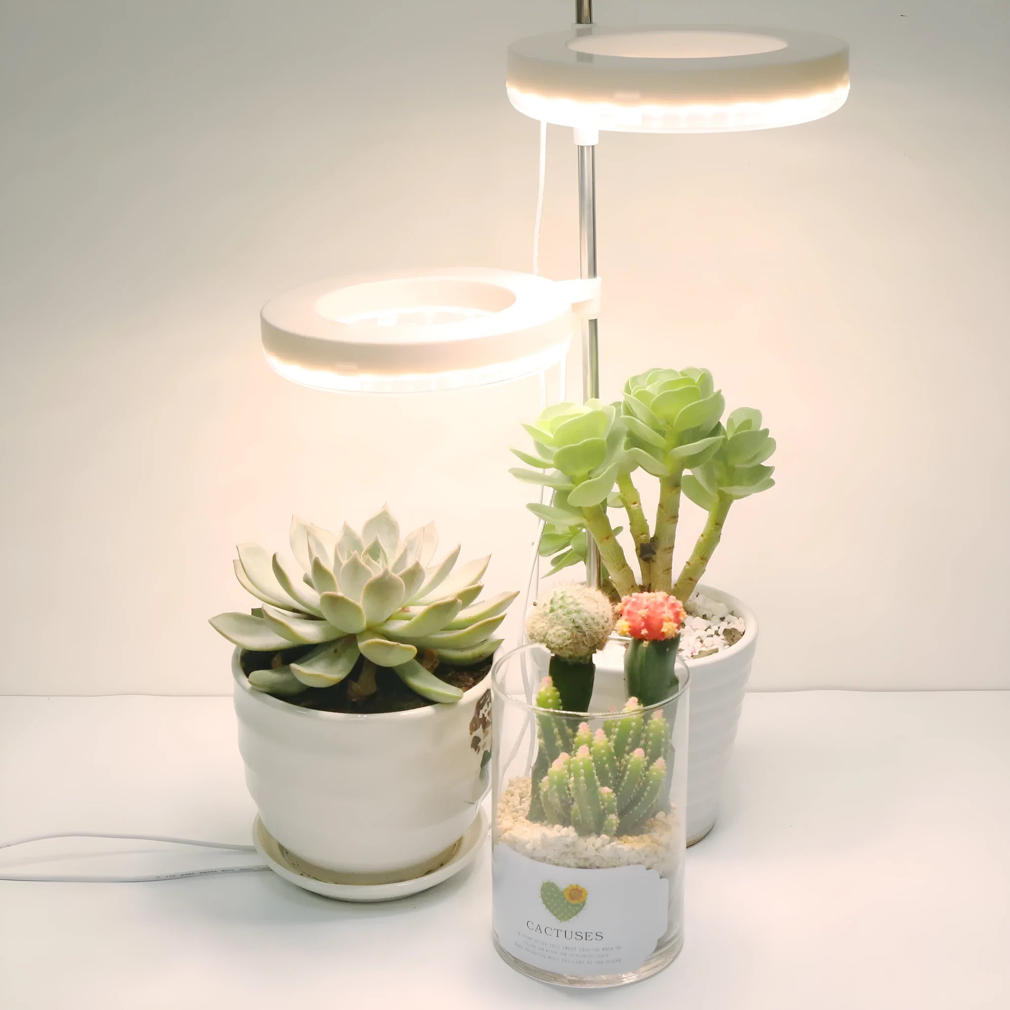 Desk plant growth lamp with full spectrum lighting and PC material housing measuring 160mm by 29mm