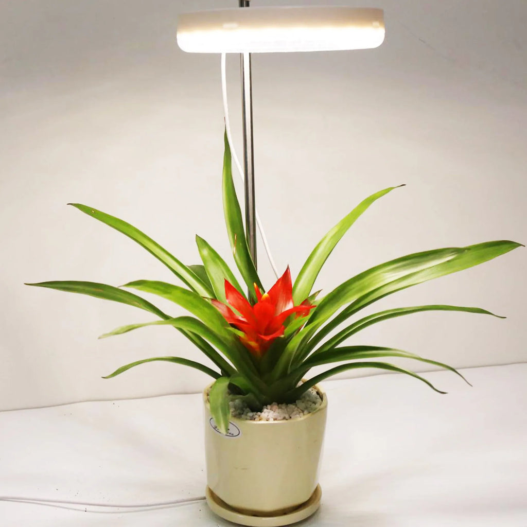 Desk plant growth lamp with full spectrum lighting and PC material housing measuring 160mm by 29mm