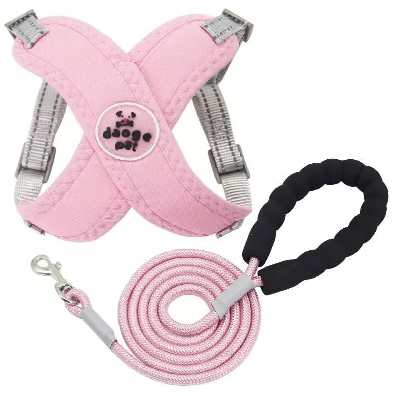 Dog wearing blue vest with attached hand holding rope leash for walking control