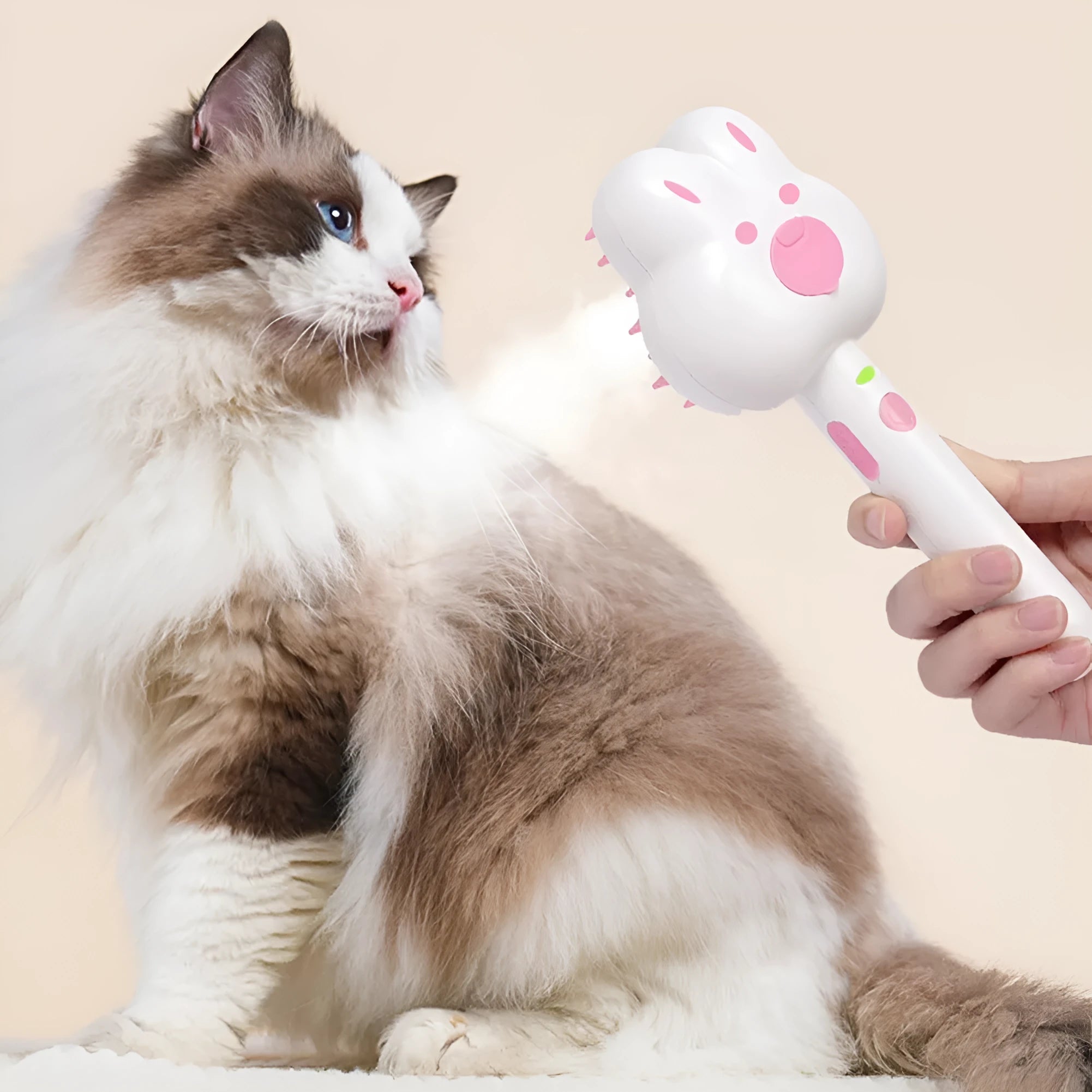 Rechargeable pet grooming steam brush in green colour with cartoon design