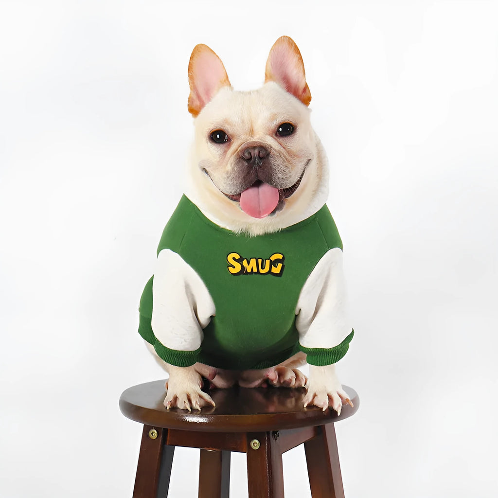 Green cotton dog jumper for winter, shown on a large dog, sized up to 4XL.