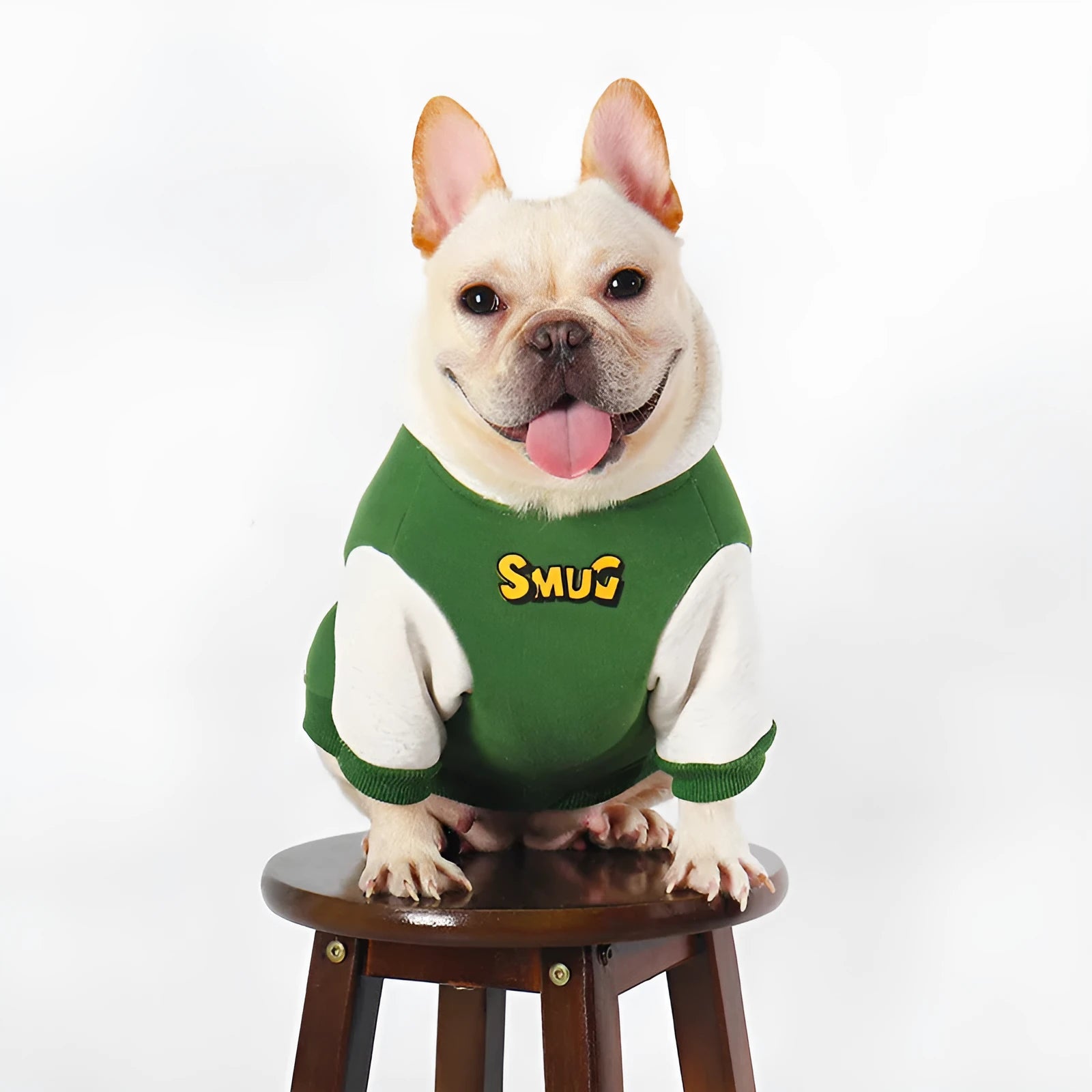 Green cotton dog jumper for winter, shown on a large dog, sized up to 4XL.