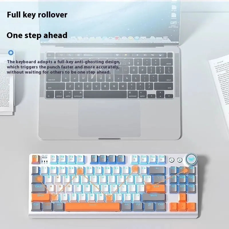 Tarantula wireless mechanical keyboard with side engraving and multiple lighting colour options