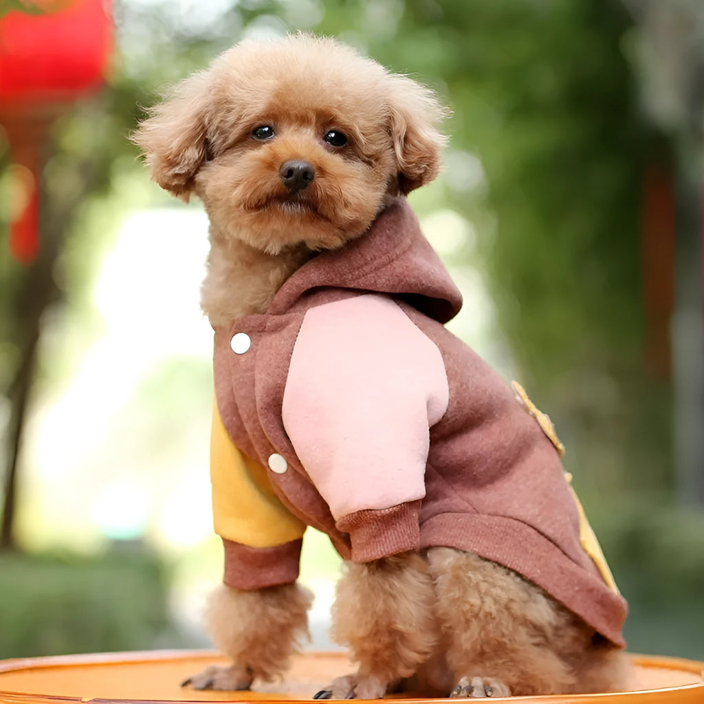 Brown cotton dog sweatshirt shown on a medium-sized dog with casual leisure styling