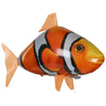 Large remote control inflatable shark balloon floating indoors with remote.