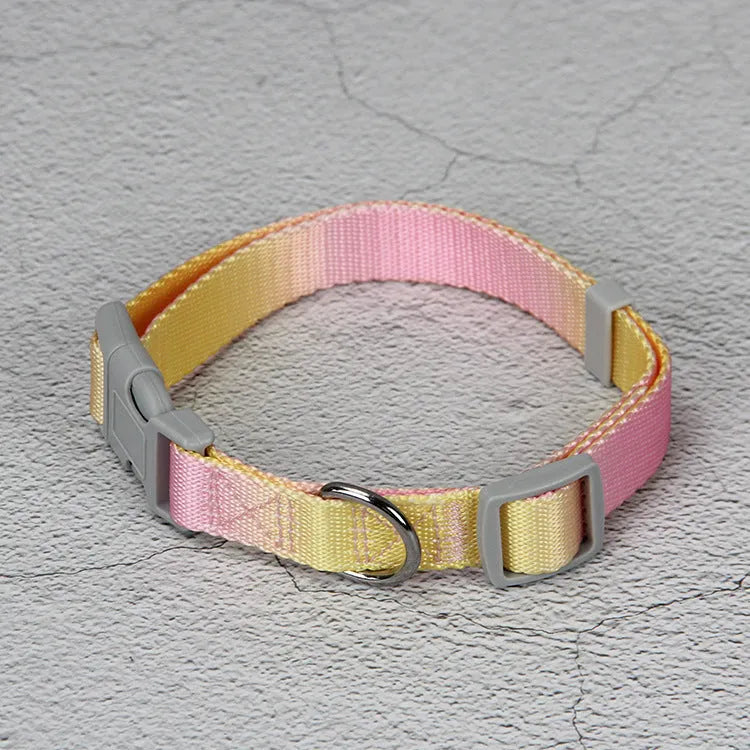 Gradient colour dog leash set showing pink and blue nylon collar and chest strap harness options