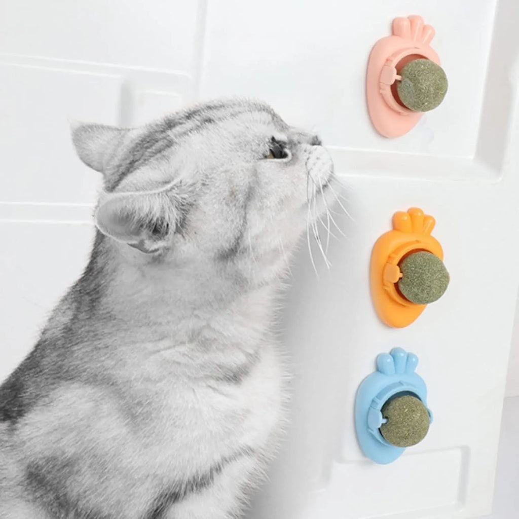 Blue carrot-shaped self-adhesive catnip toy for wall mounting with cover