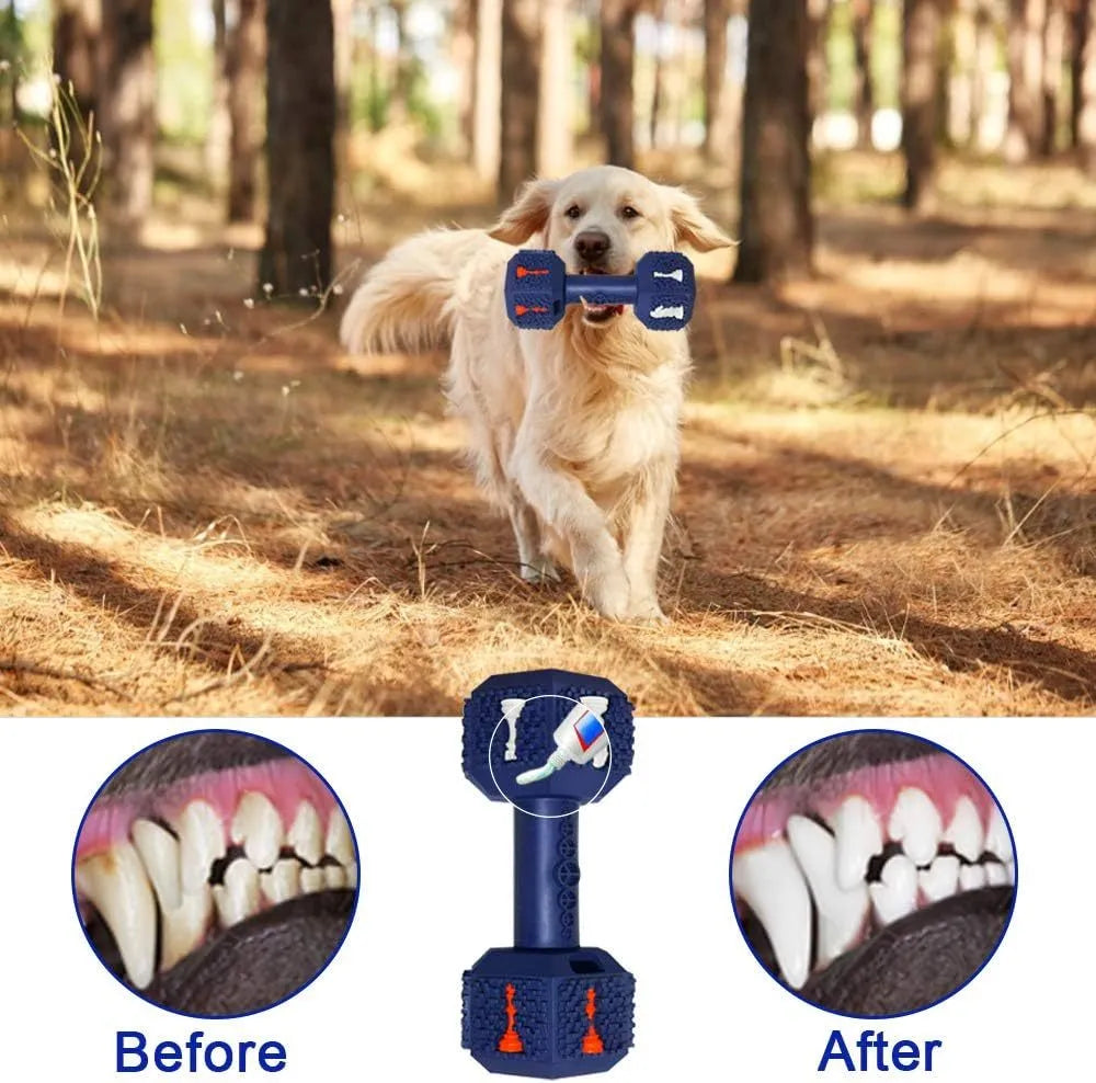 Durable dumbbell-shaped dog chew toy in natural rubber with textured surface