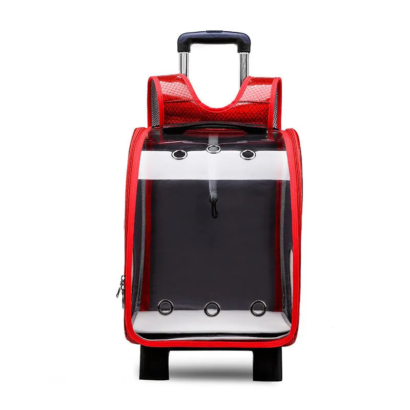 Blue transparent pet trolley bag with folding shoulder strap for small dogs and cats