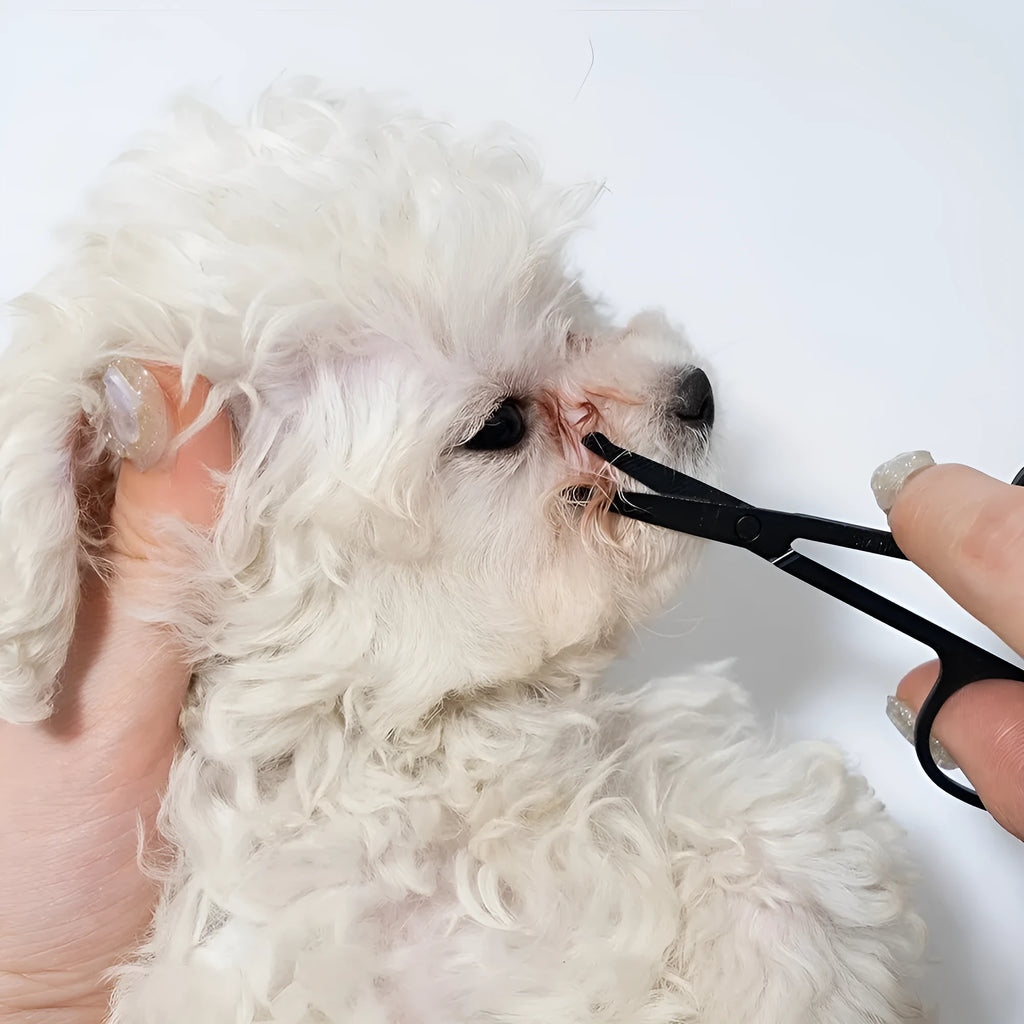 Black pet grooming brush with soft silicone bristles and comb attachment for tear stain removal on dogs and cats