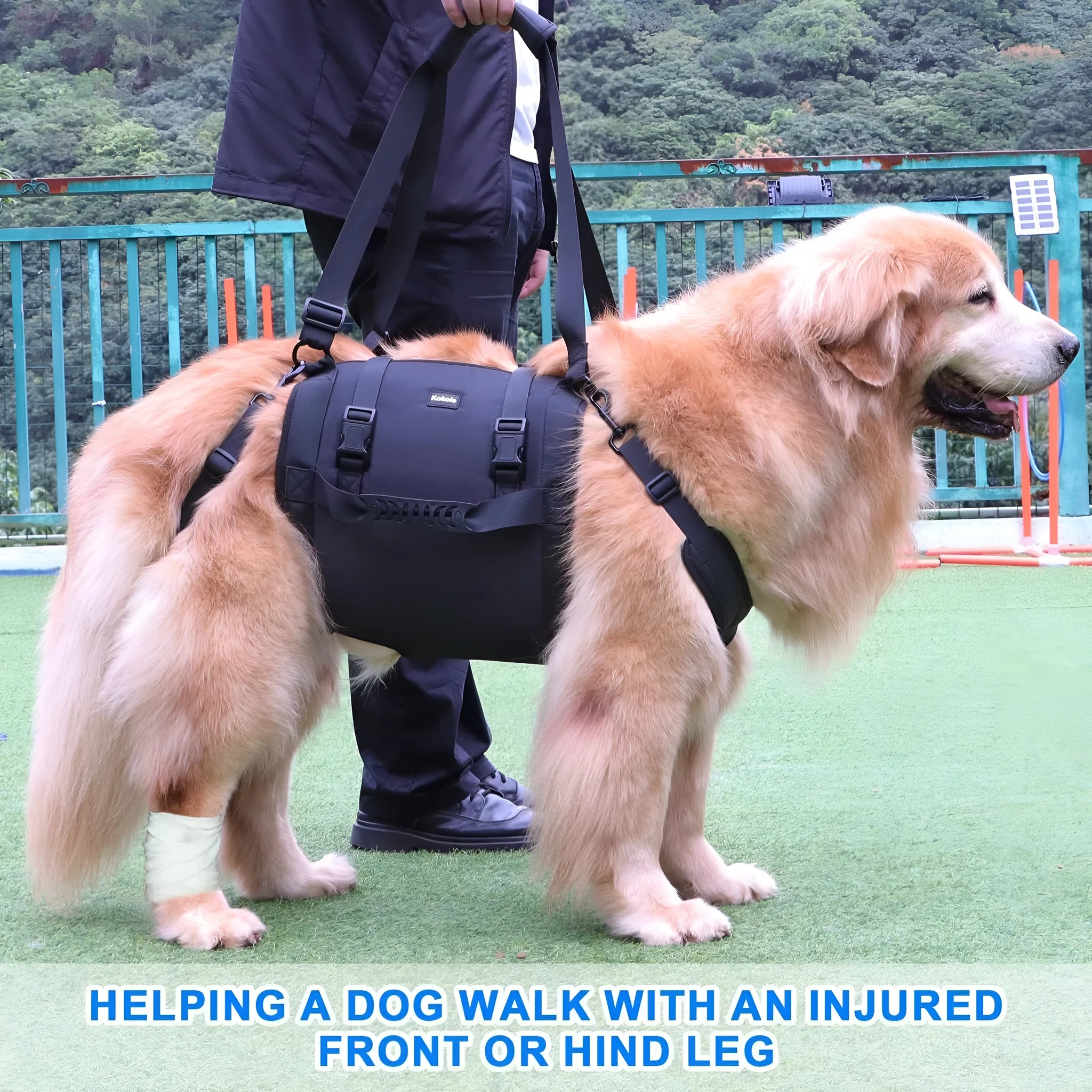Black Oxford cloth dog harness with breast strap and leg support shown on canine model