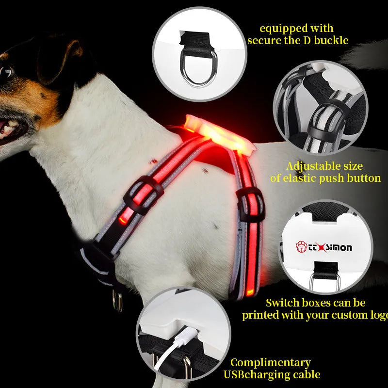 USB-rechargeable luminous dog lead showing seven colour-changing modes on nylon strap