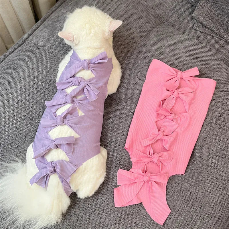 Cat wearing pink sterilisation recovery clothing with lace-up closure after surgery
