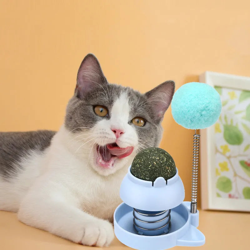 Lucky Cat mint ball cat toy on stick with music for grooming aid and boredom relief
