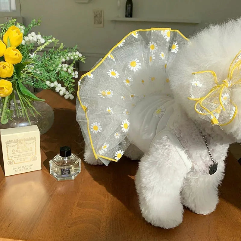Yellow floral Little Daisy pattern on lightweight polyester summer dog clothes.
