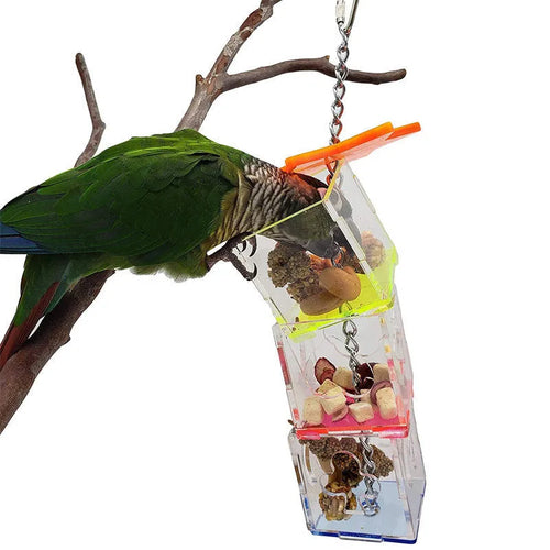 Clear acrylic bird foraging device educational toy for parrots measuring 5x5x32 cm