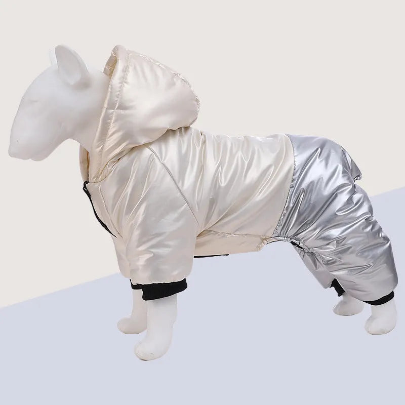 Green waterproof dog winter coat with cotton padding on small brown dog outdoors