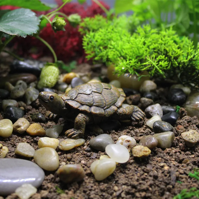 Small brown resin simulation turtle ornament for fairy garden or terrarium decoration.