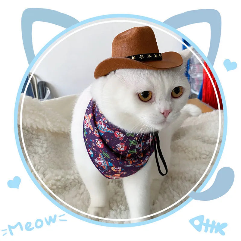 British cowboy style hat for cats with decorative velvet belt trim