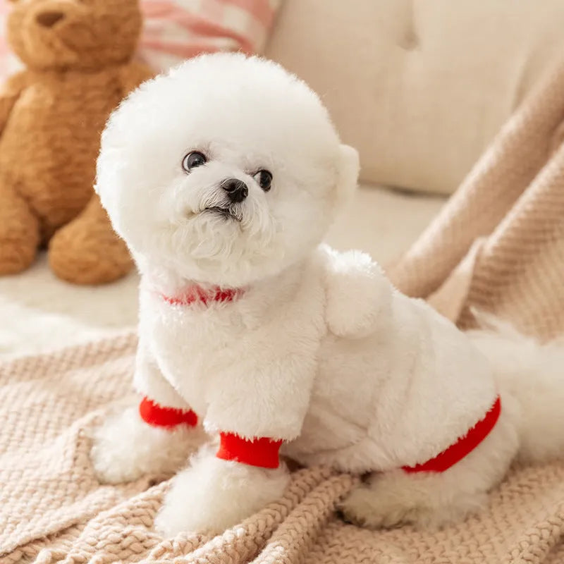 White plush bear pet jacket with 3D bear face, closed eyes, red knit trim, and metal leash ring for small dogs