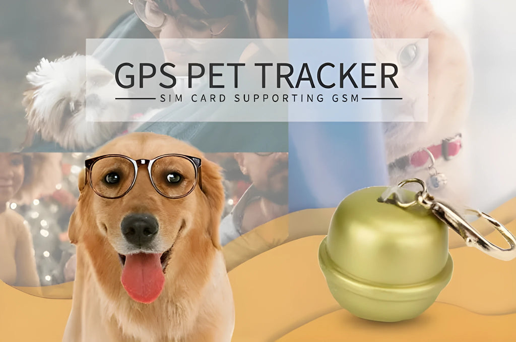 GPS pet tracking device attached to dog collar showing black waterproof case with charging port