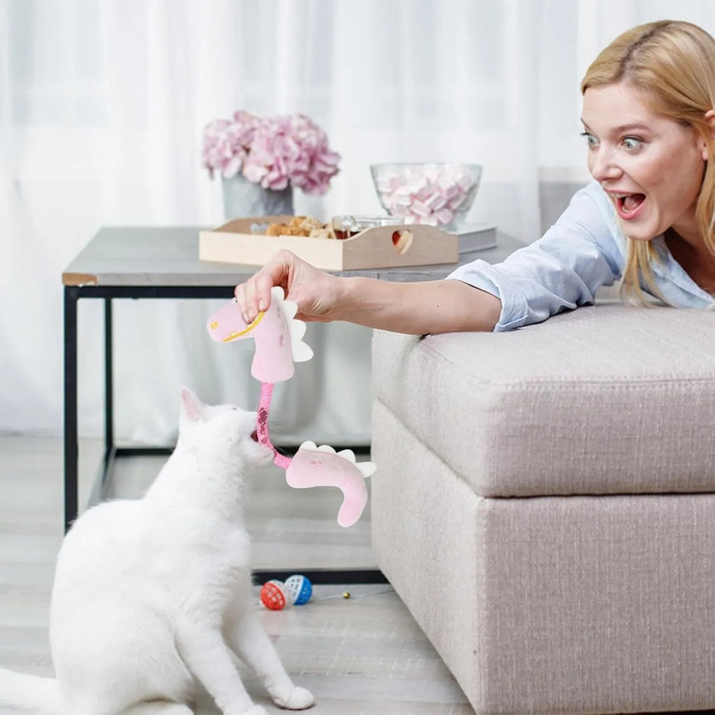 Set of four colourful plush cat toys including a mouse, fish, bunny, and chew toy on a white background.