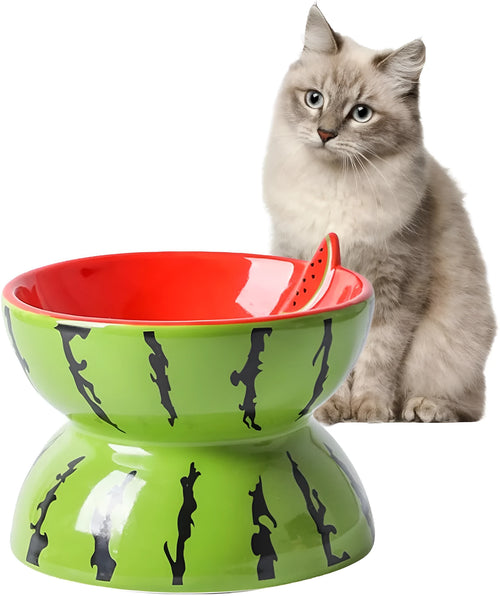 Ceramic raised cat bowl with tilted design and slip-resistant base for food and water feeding