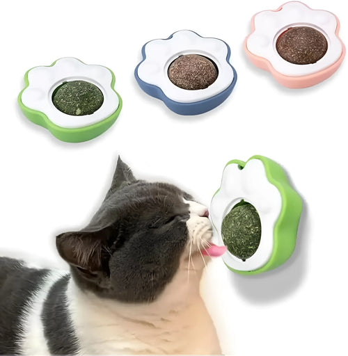 Blue catnip ball dental chew toy with edible vine licks for kitten teeth cleaning