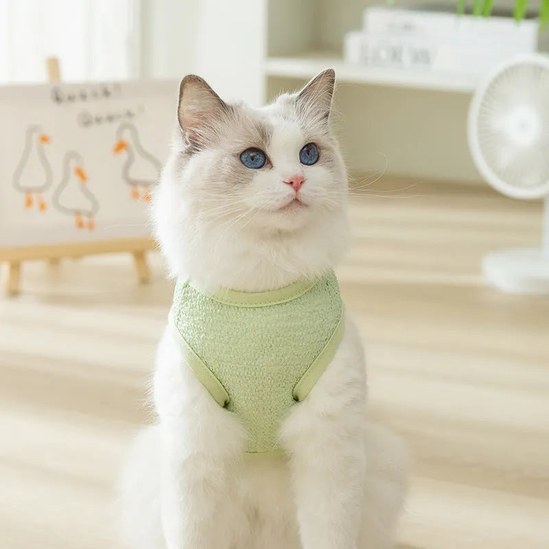 Breathable knitted cat clothing with a hollowed-out cartoon bear patch in blue