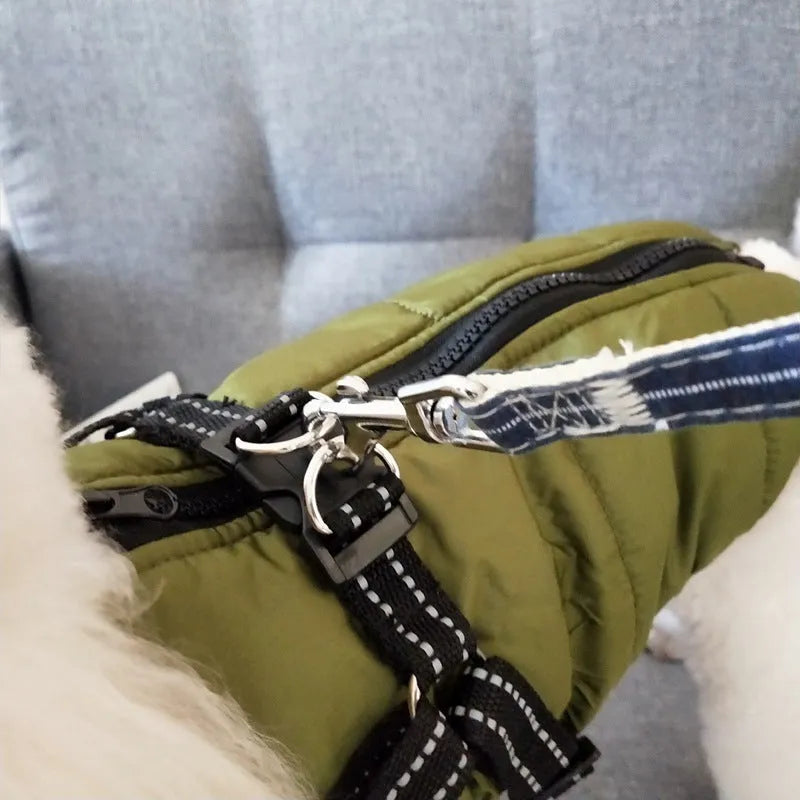 Red waterproof dog coat with integrated harness on a Labrador, showing the rain silk fabric and sizing options.