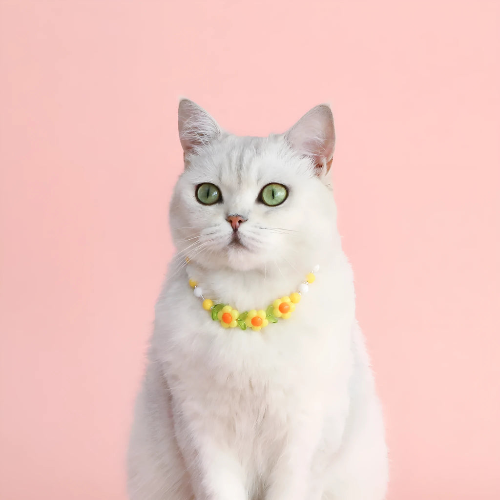Colourful plastic bead pet necklace in peach, rainbow, or small flower patterns with adjustable sizing.