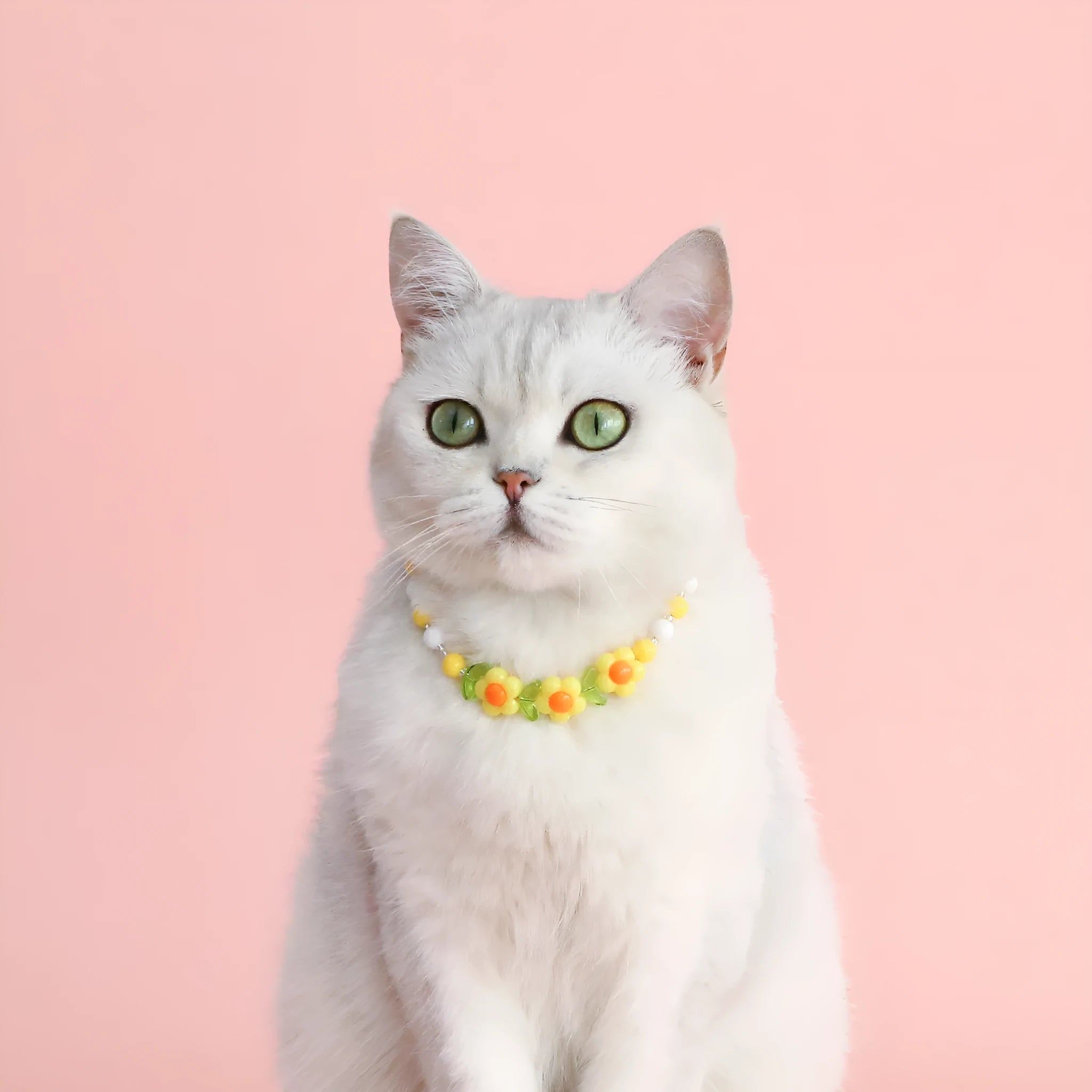 Colourful plastic bead pet necklace in peach, rainbow, or small flower patterns with adjustable sizing.