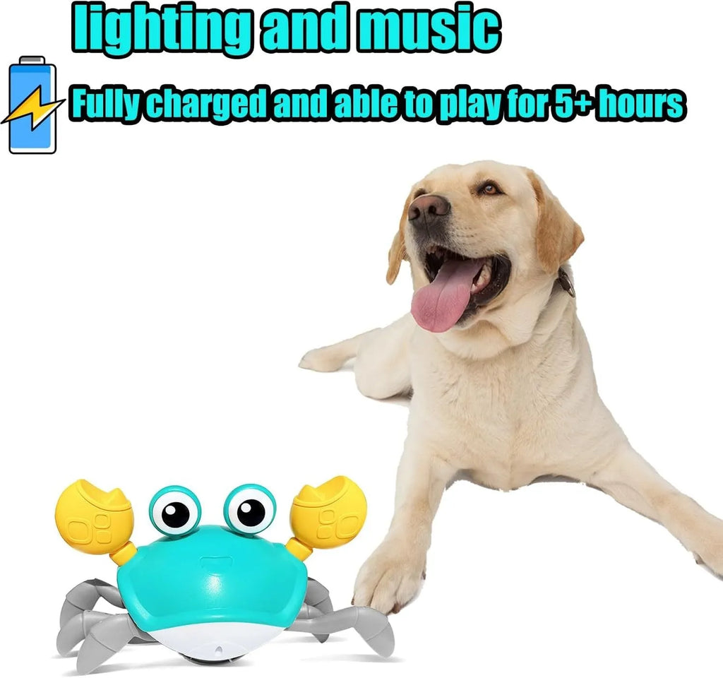 Blue electronic crab dog toy with lights, shown moving sideways on a wooden floor.