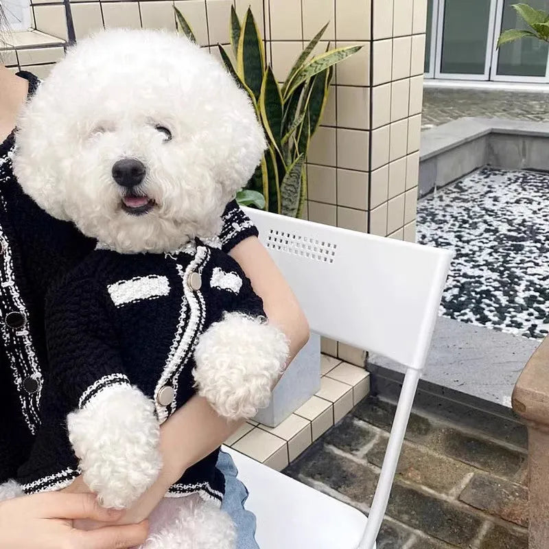 Korean style white dog sweater with pearl collar detail on small breed dog