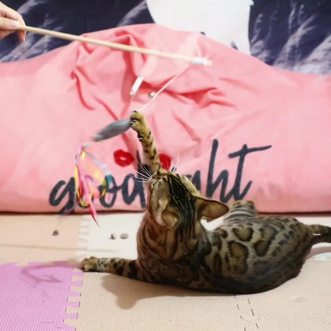 Colourful cat wand toy with ribbons, catnip fish, and bell on a wooden handle.