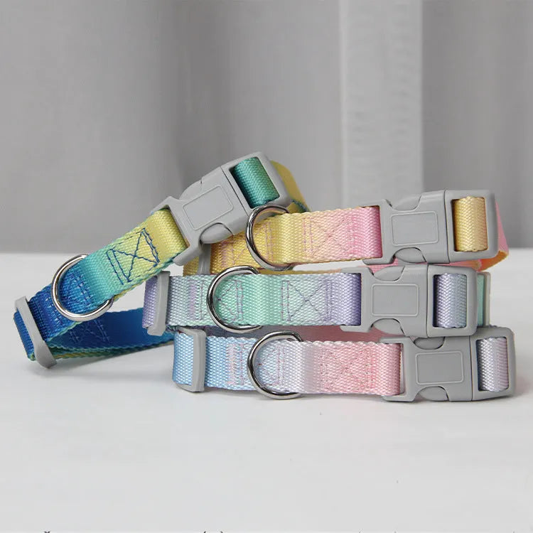 Gradient colour dog leash set showing pink and blue nylon collar and chest strap harness options