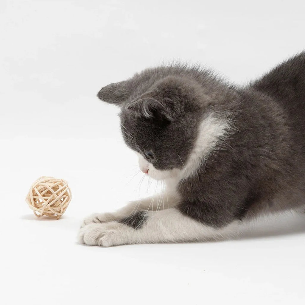 Two cat toys: rattan ball and faux feather ball with bell for kitten play