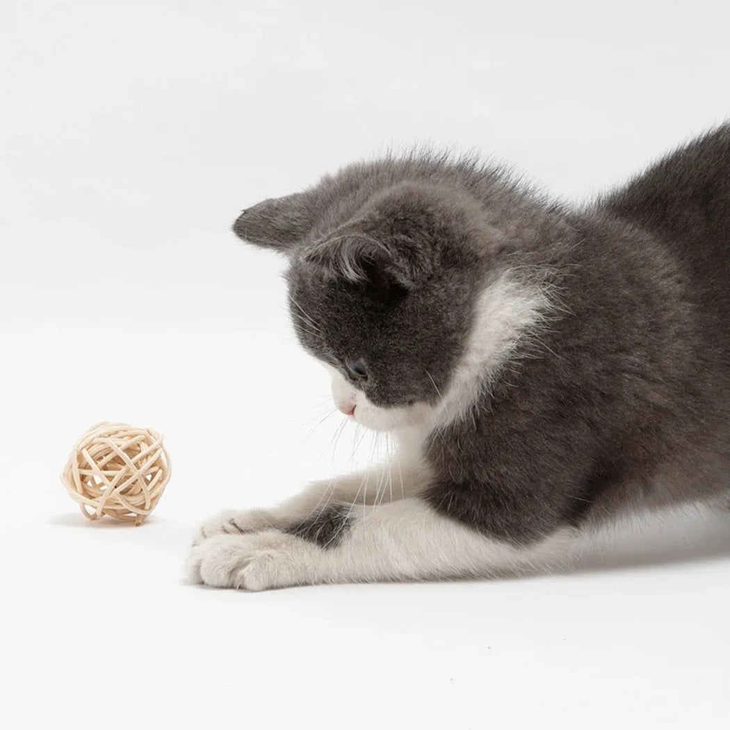 Two cat toys: rattan ball and faux feather ball with bell for kitten play