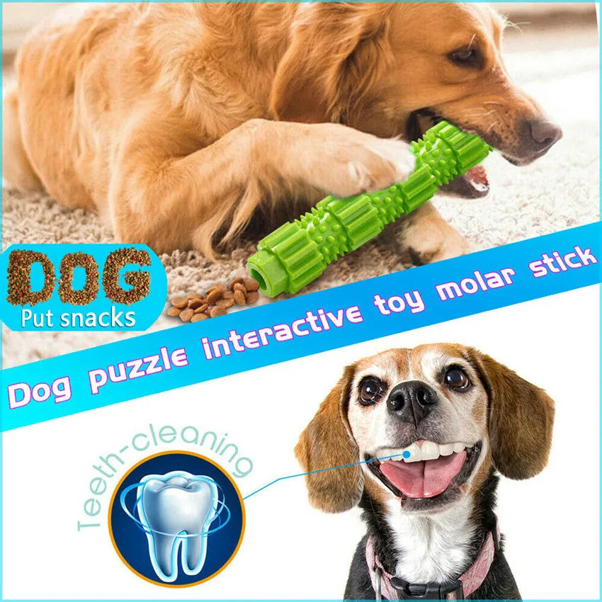 Green durable rubber dog chew toy with treat-dispensing hole and squeaker, for aggressive chewers.