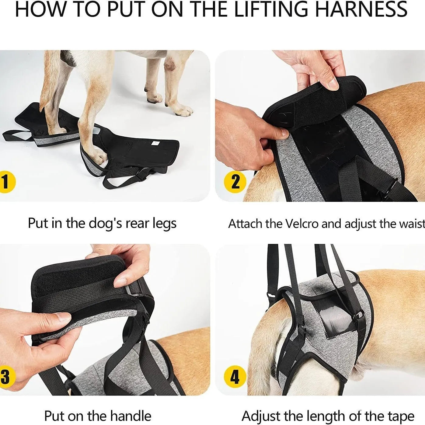 Grey neoprene dog rear leg recovery support belt showing sizing chart for S, M, L, and XL.