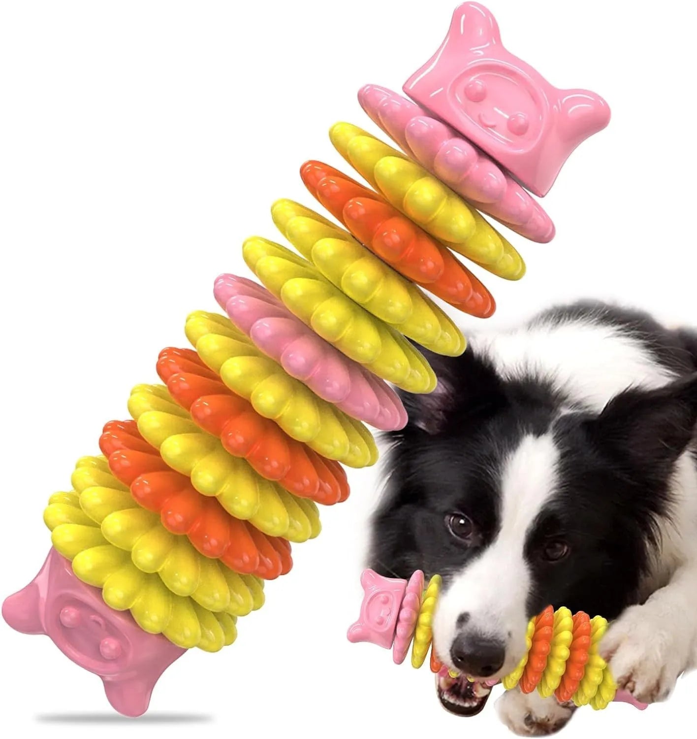 Blue green pink caterpillar shaped natural rubber dog chew toy on white background