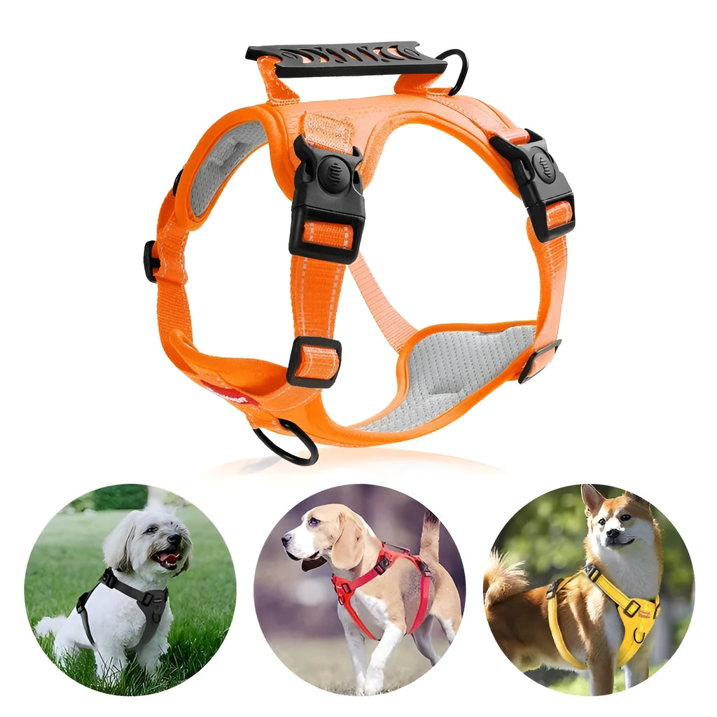 Adjustable polyester dog chest harness and lead in one of six colours: black, yellow, red, orange, pink, or Lake Blue.