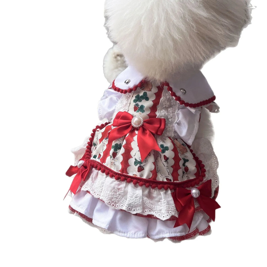 Rabbit skirt princess style dog costume made from polyester fabric on a small dog.